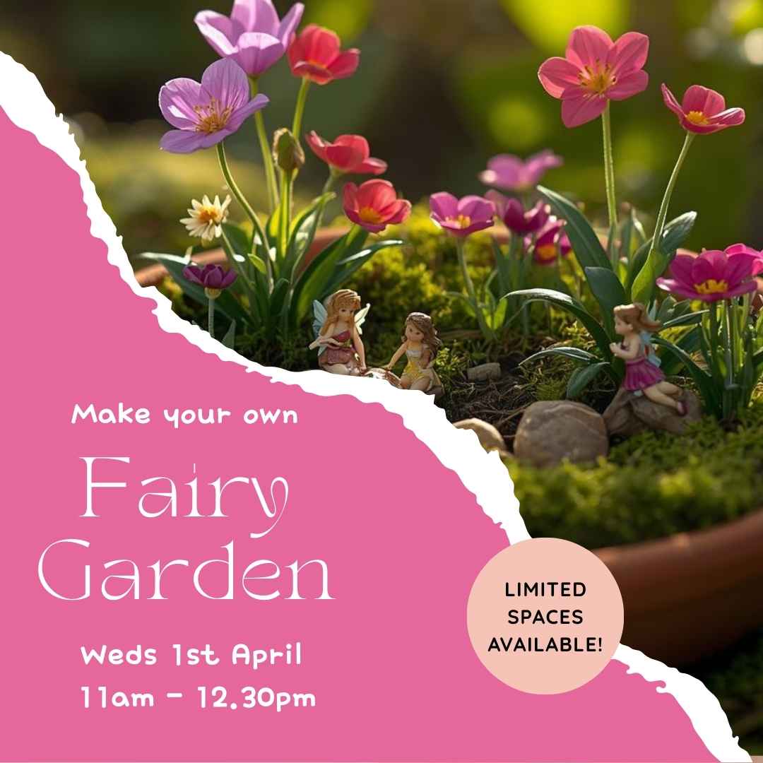 fairy garden workshop thursday 1st april 11am 12.30pm